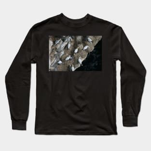 Nests Long Sleeve T-Shirt